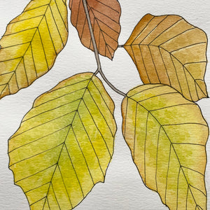 Nature journal autumn sketchbook
