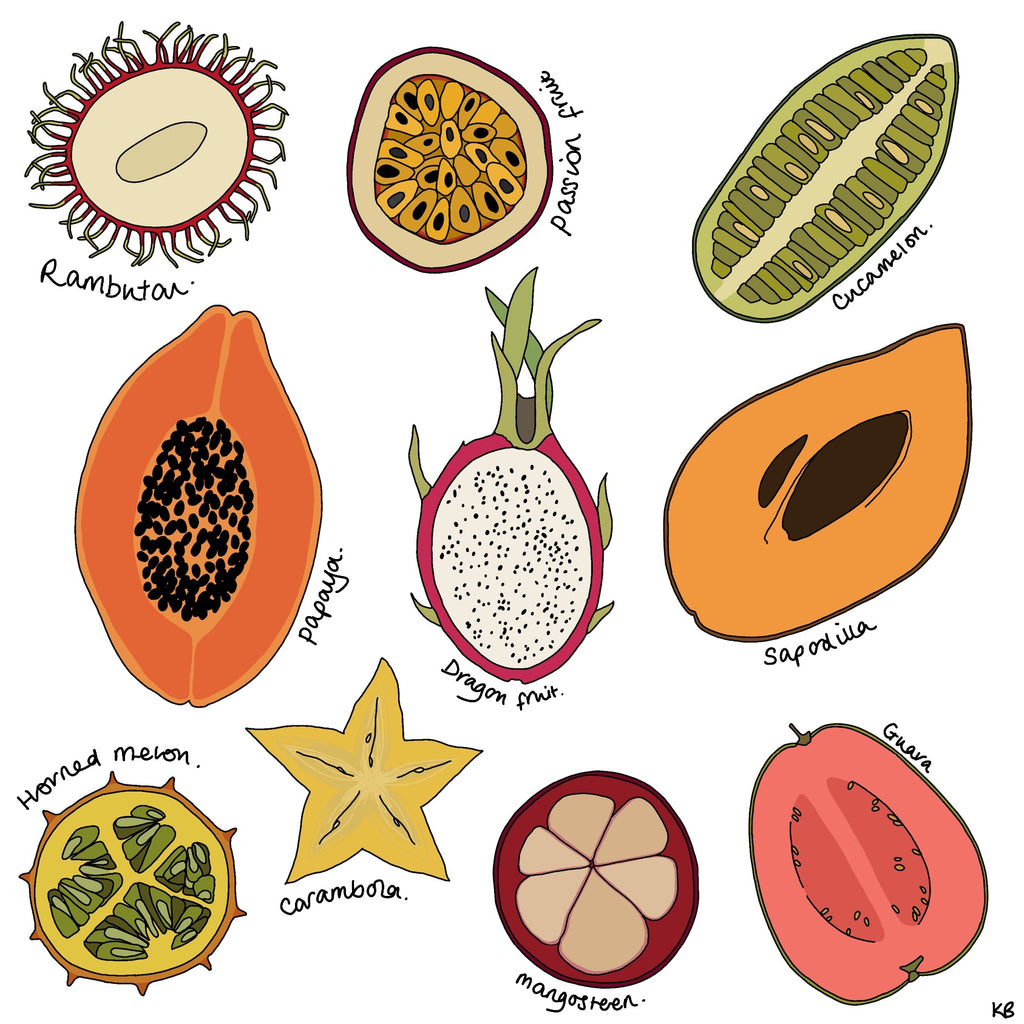 Exotic Fruit Sketchbook Work