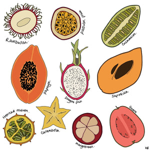 Exotic Fruit Sketchbook Work