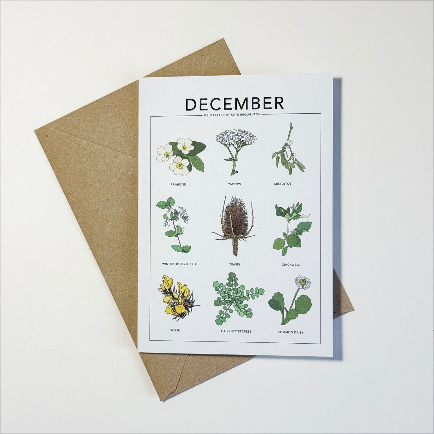 Illustrated month card - seasonal wild plants & flowers