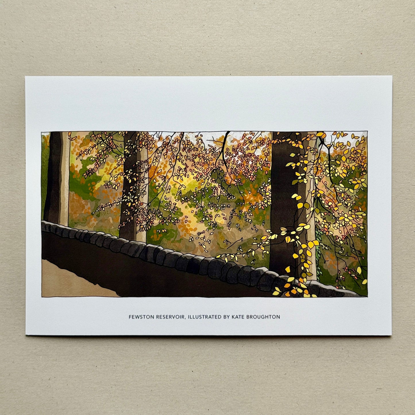 Framed photograph of a woodland scene with trees and a stone wall in Autumn