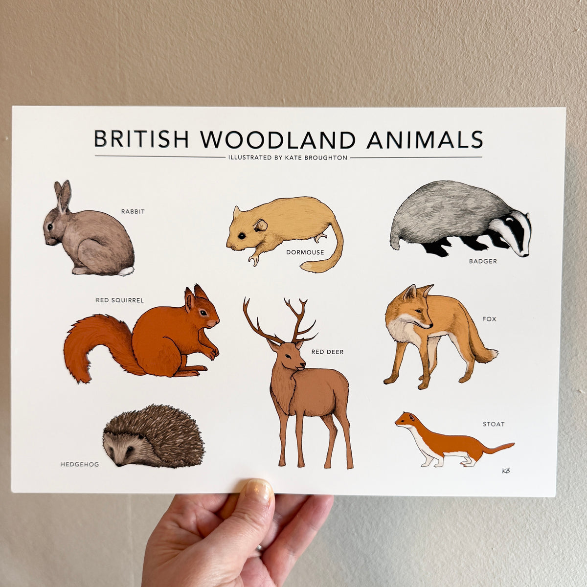 British Woodland Animals A4 landscape print - SECONDS SALE
