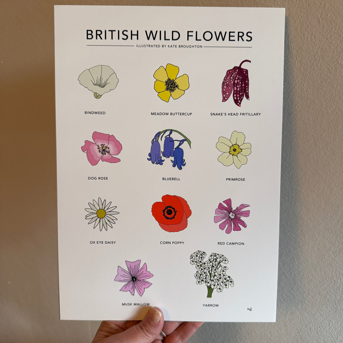 British Wild Flowers A4 print - SECONDS SALE - discontinued