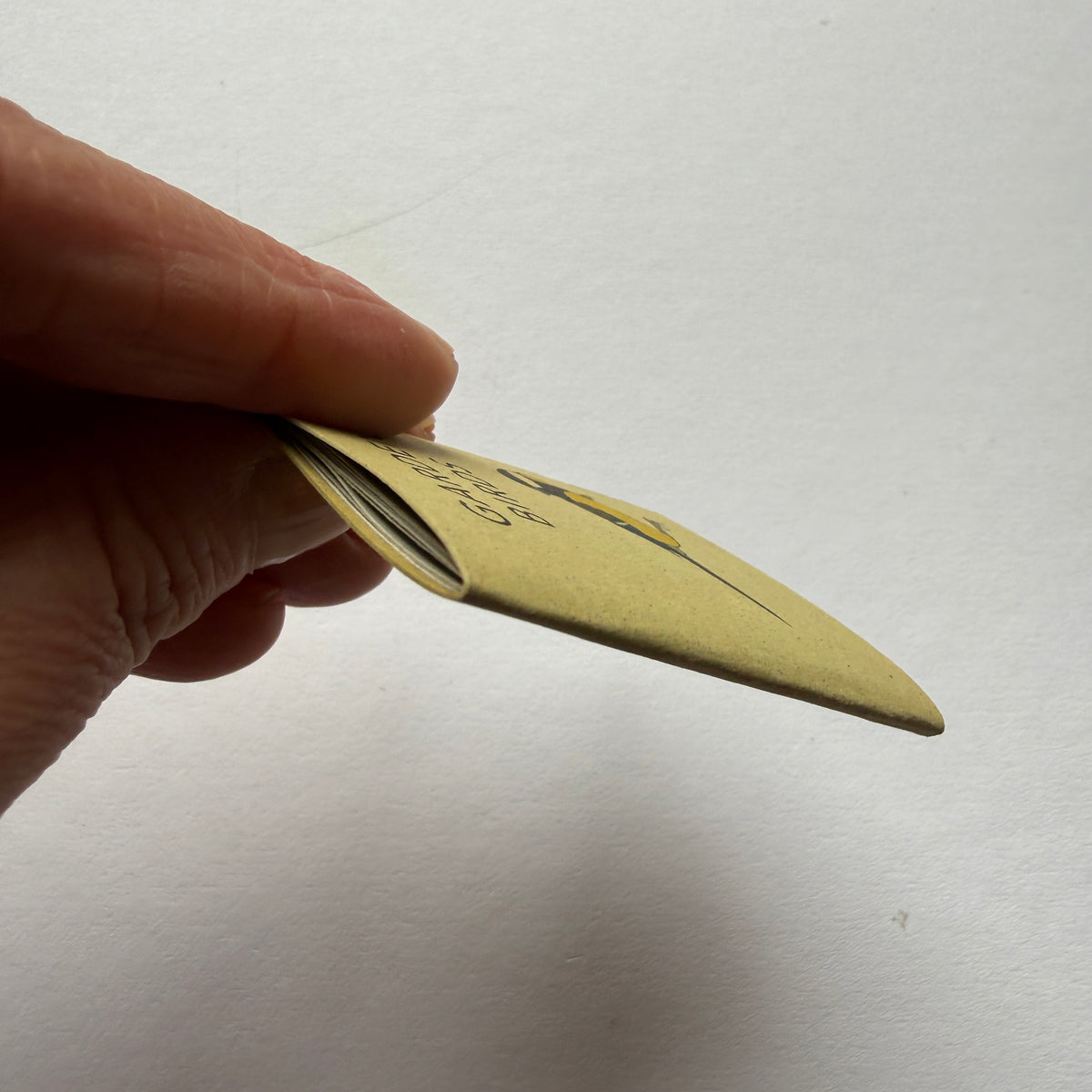 tiny book of garden birds sample - sale