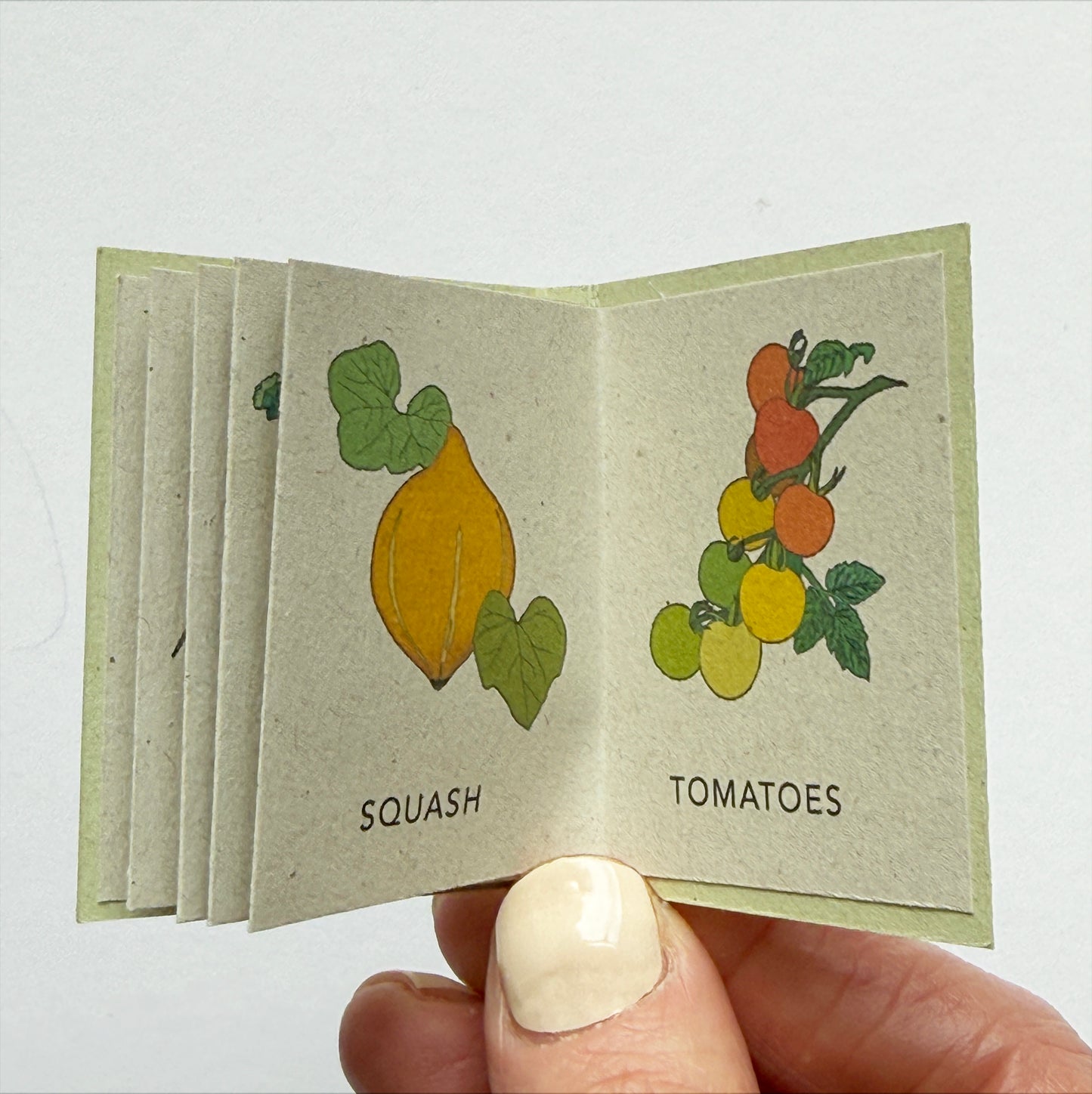 Tiny Book of Allotment Veg