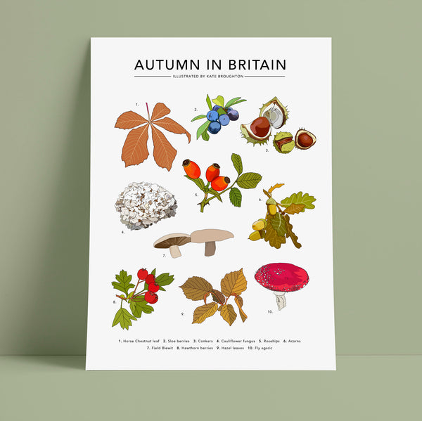 Autumn in Britain Print