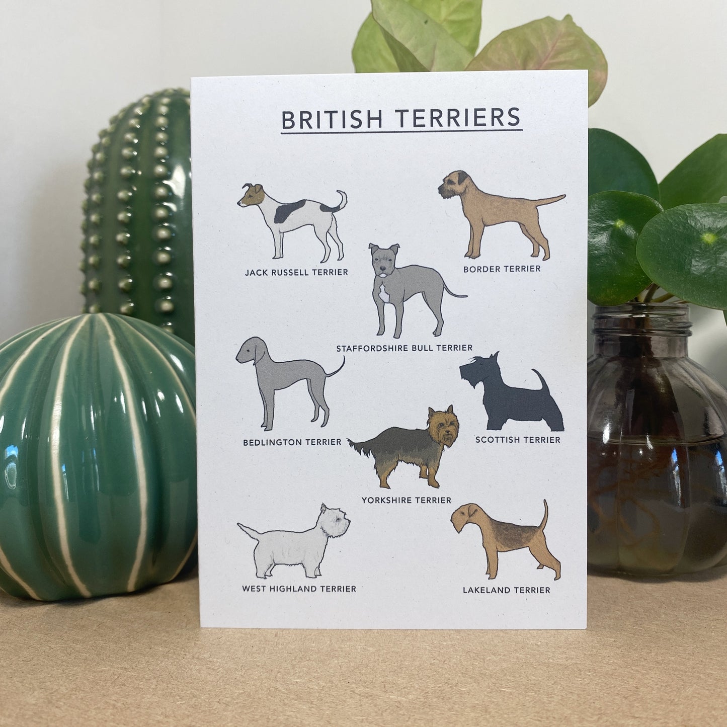 British Terriers Illustrated Card