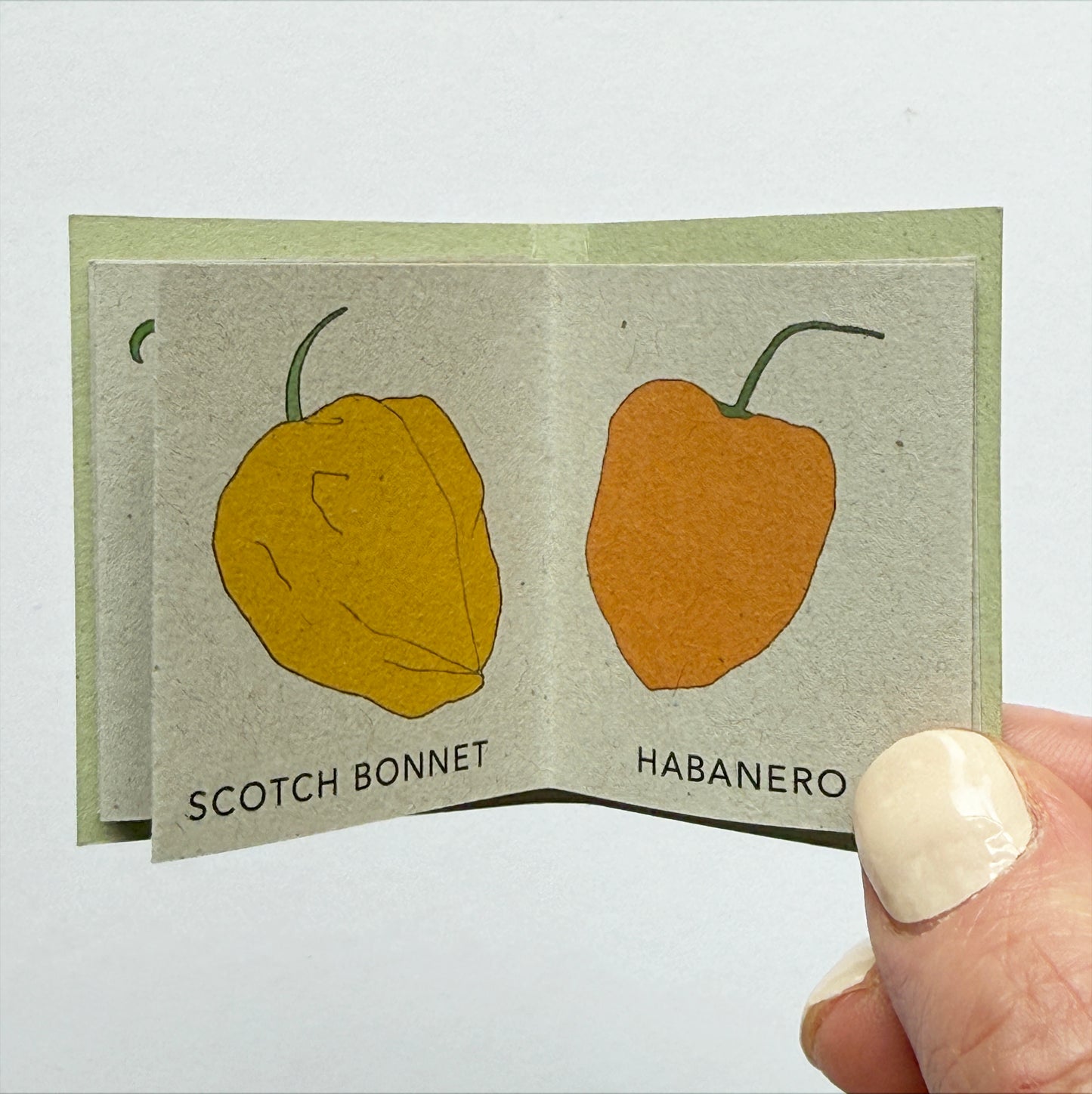 Tiny Book of Chilli Peppers