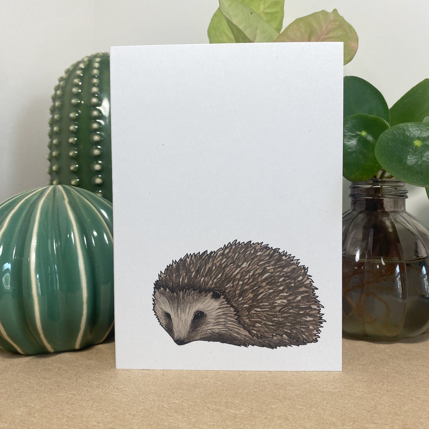 Hedgehog Illustrated Card