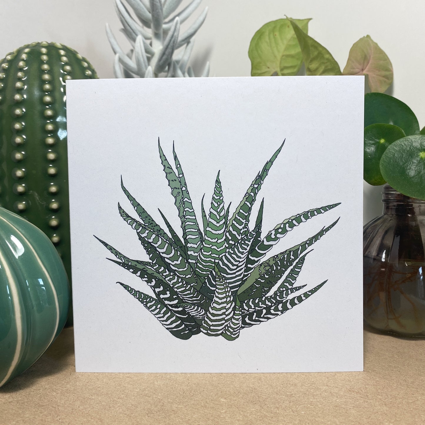 Howarthia houseplant card