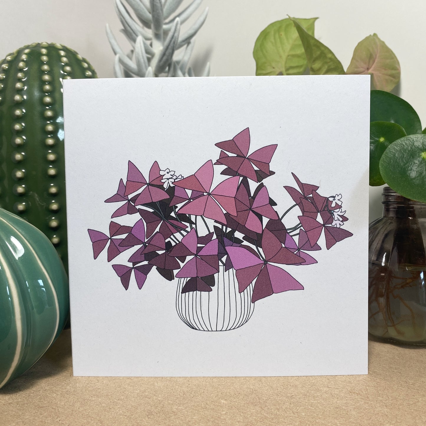 Oxalis Triangularis Houseplant Card - katebroughton