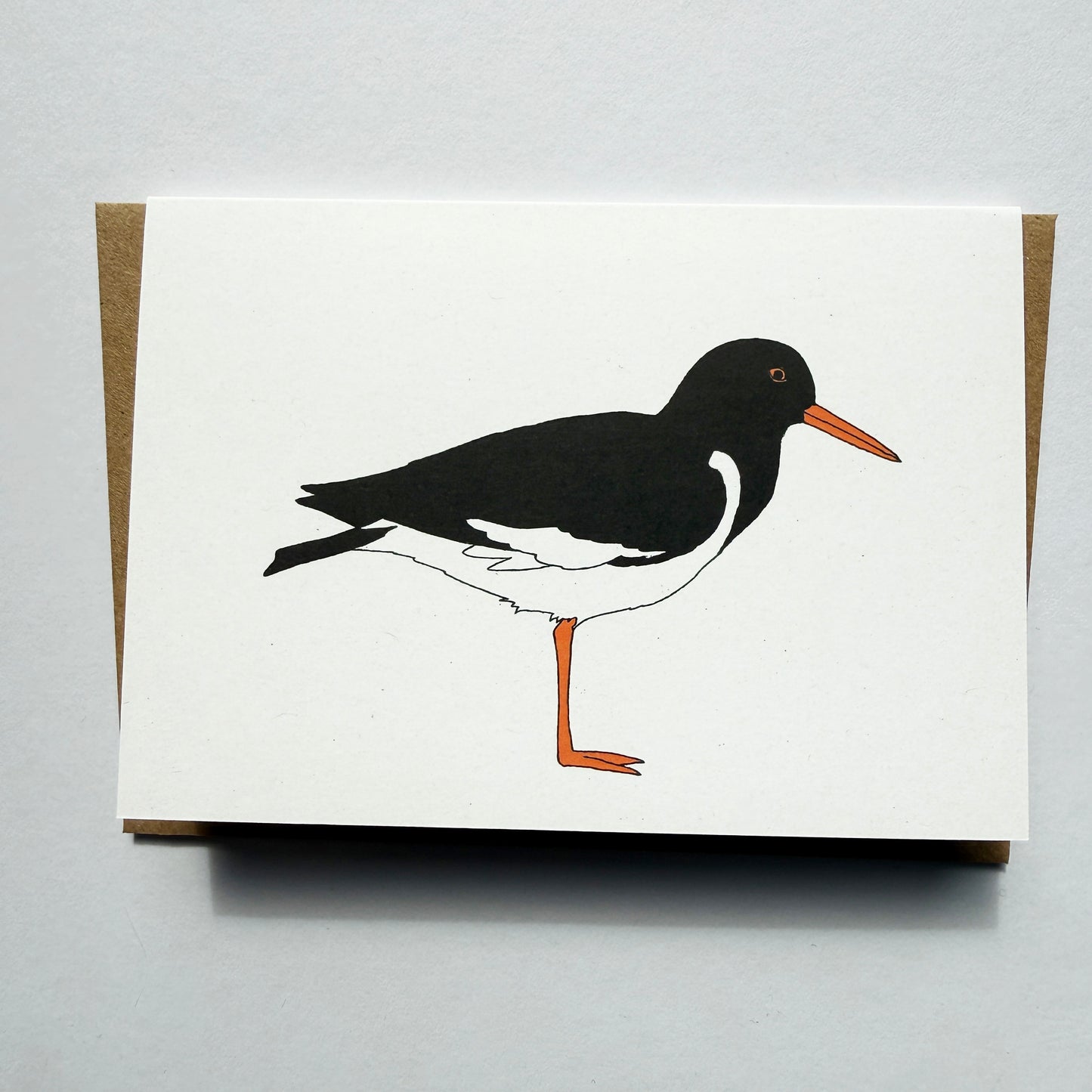 Oystercatcher Illustrated Card - katebroughton