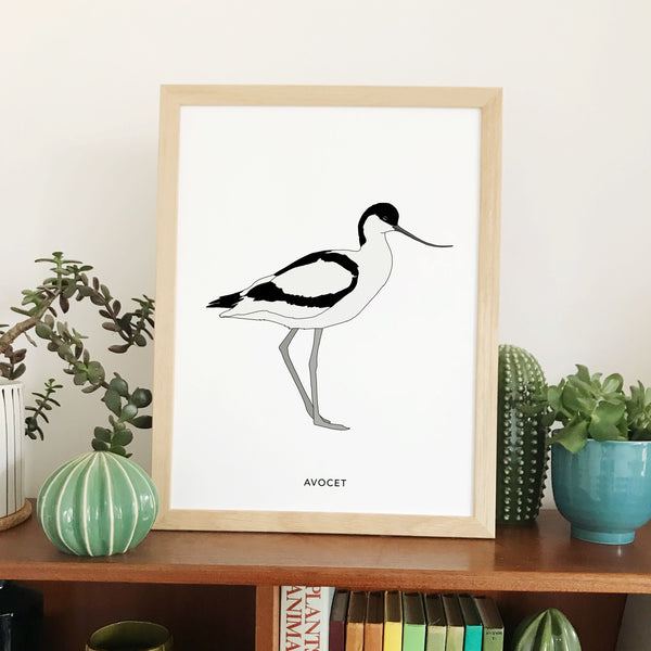 Avocet bird print