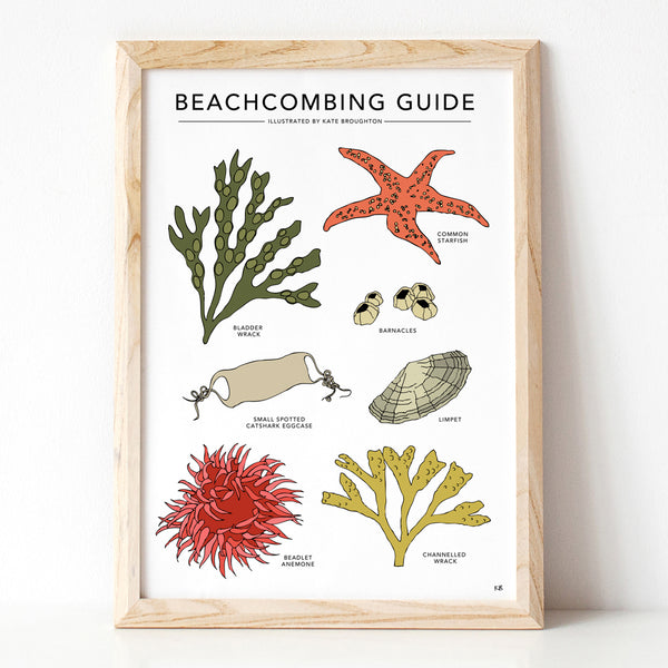 Beachcombing Guide Print