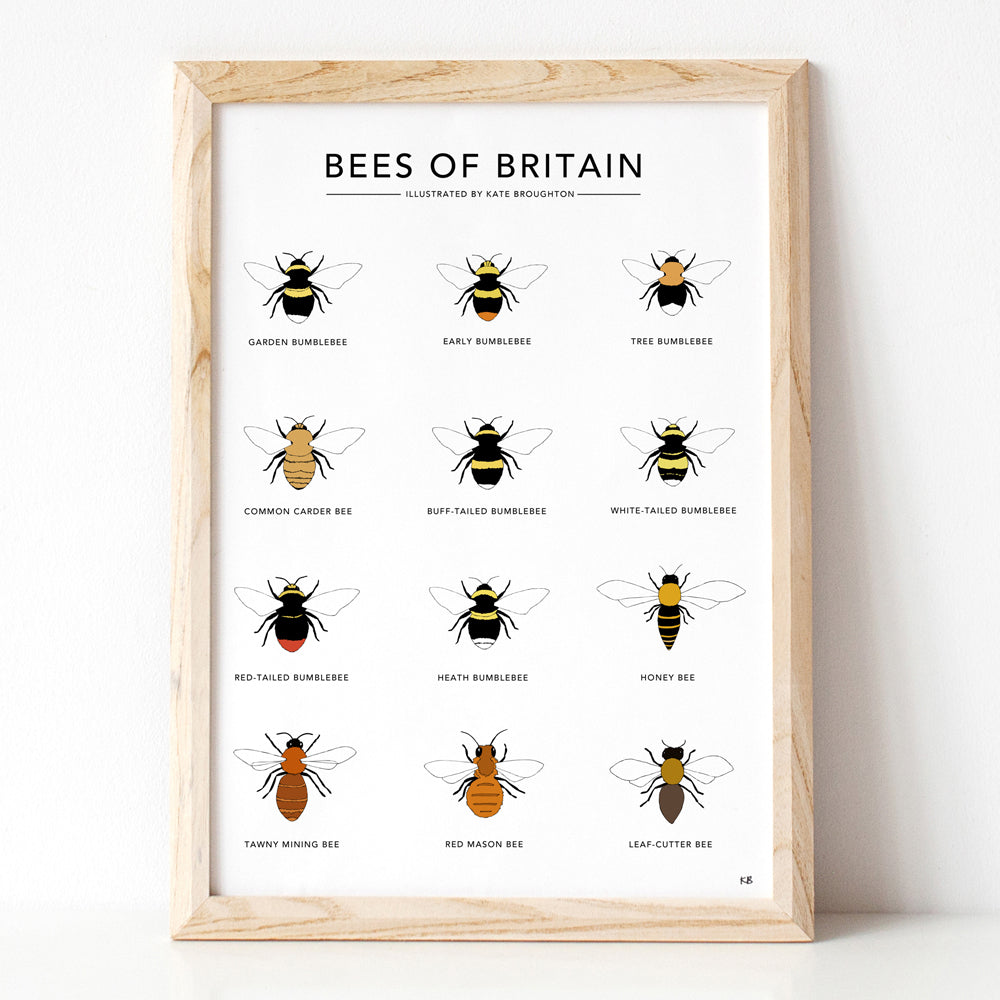 Bees of Britain Print