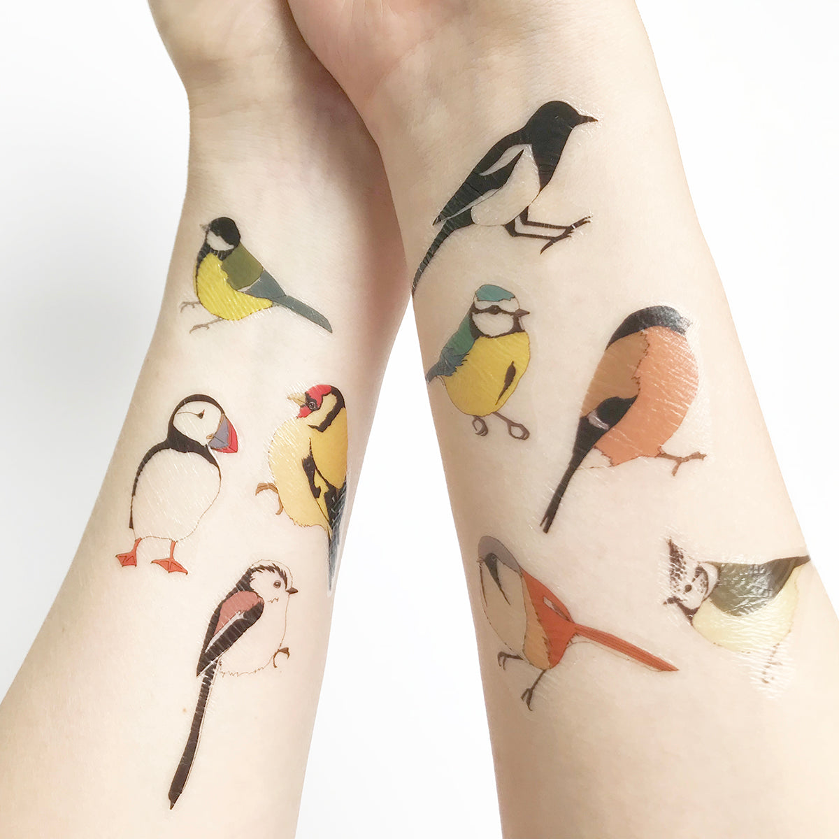 Bird temporary tattoos - SECONDS SALE