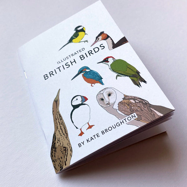Illustrated British Birds book