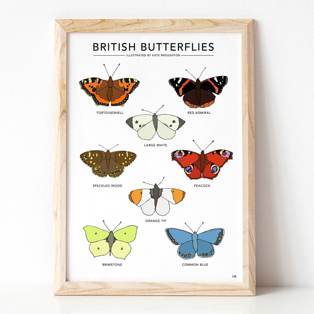 British Butterflies Print - katebroughton
