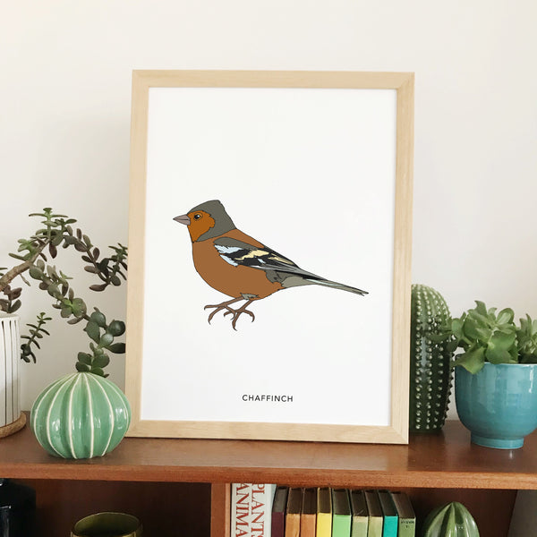 Chaffinch bird print