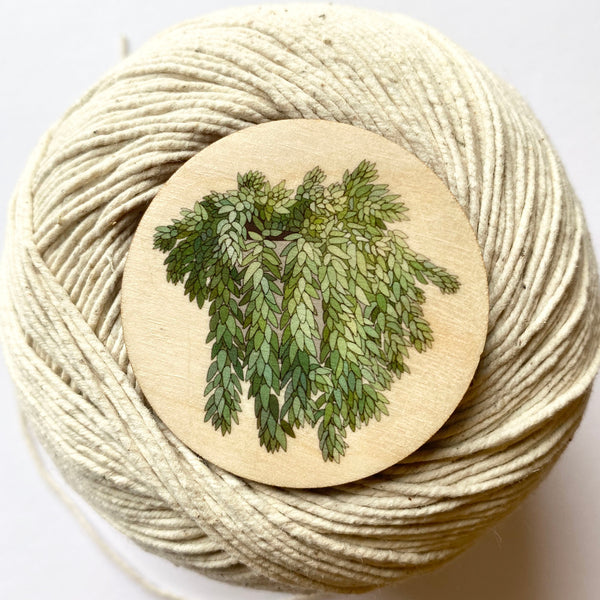 Donkey Tail plant wooden brooch