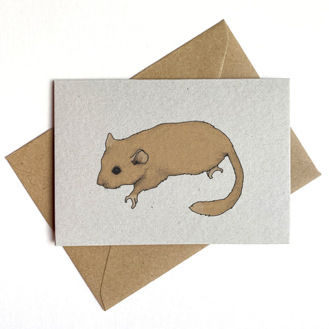 Dormouse Illustrated Card