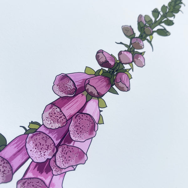 Foxglove wildflower print