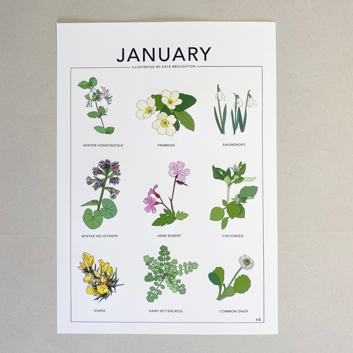 January wildflower nature print