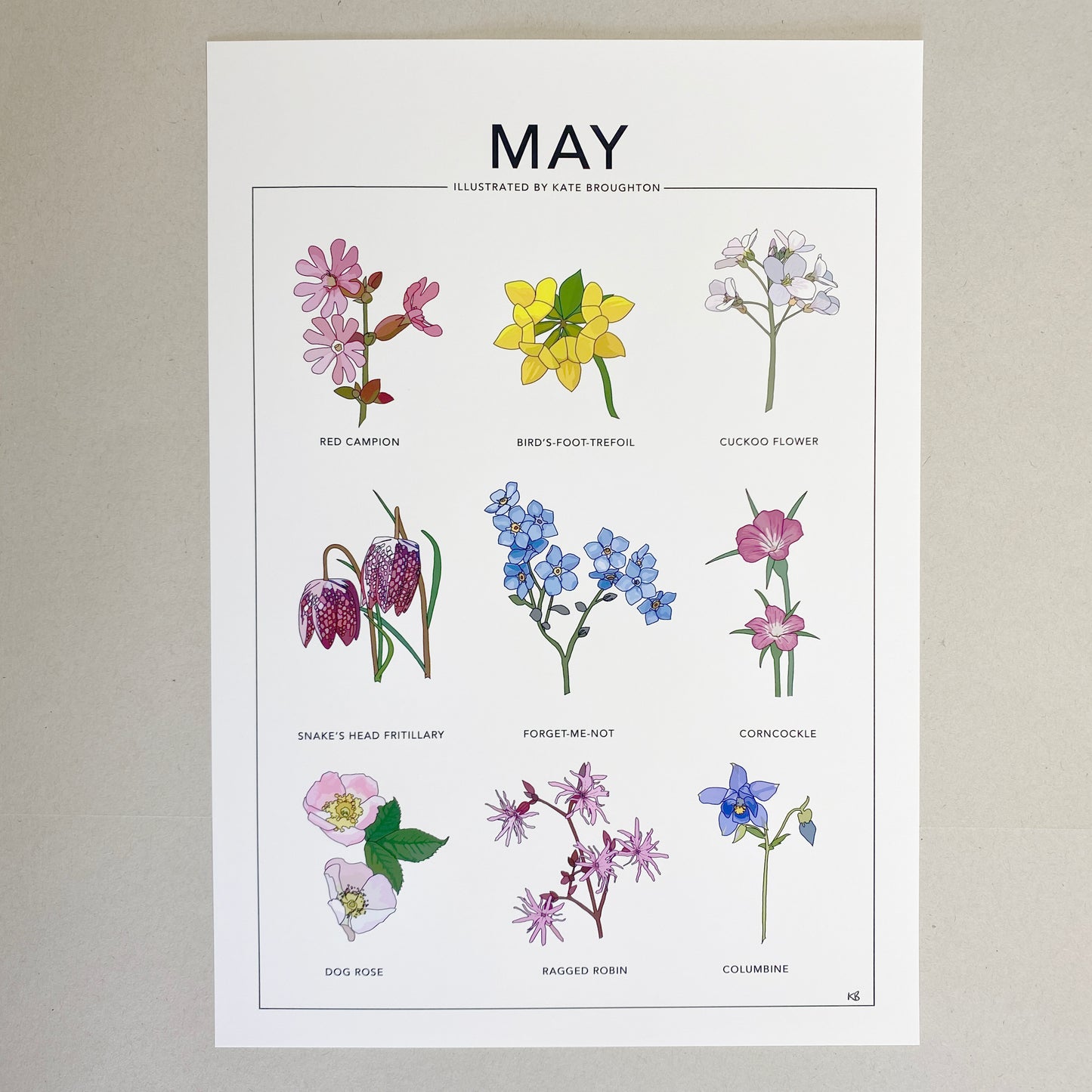May wildflower nature print