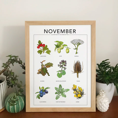 November wildflower nature print