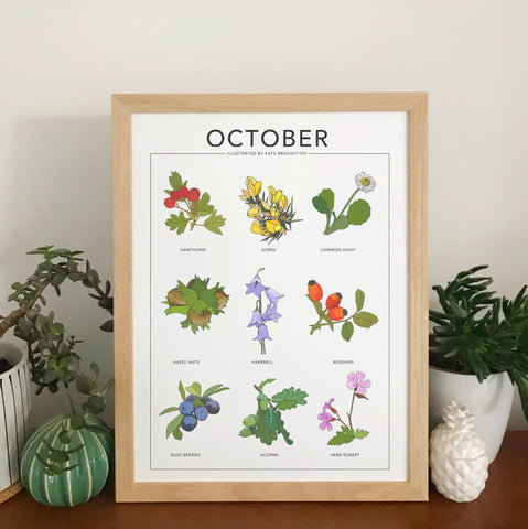 October wildflower nature print