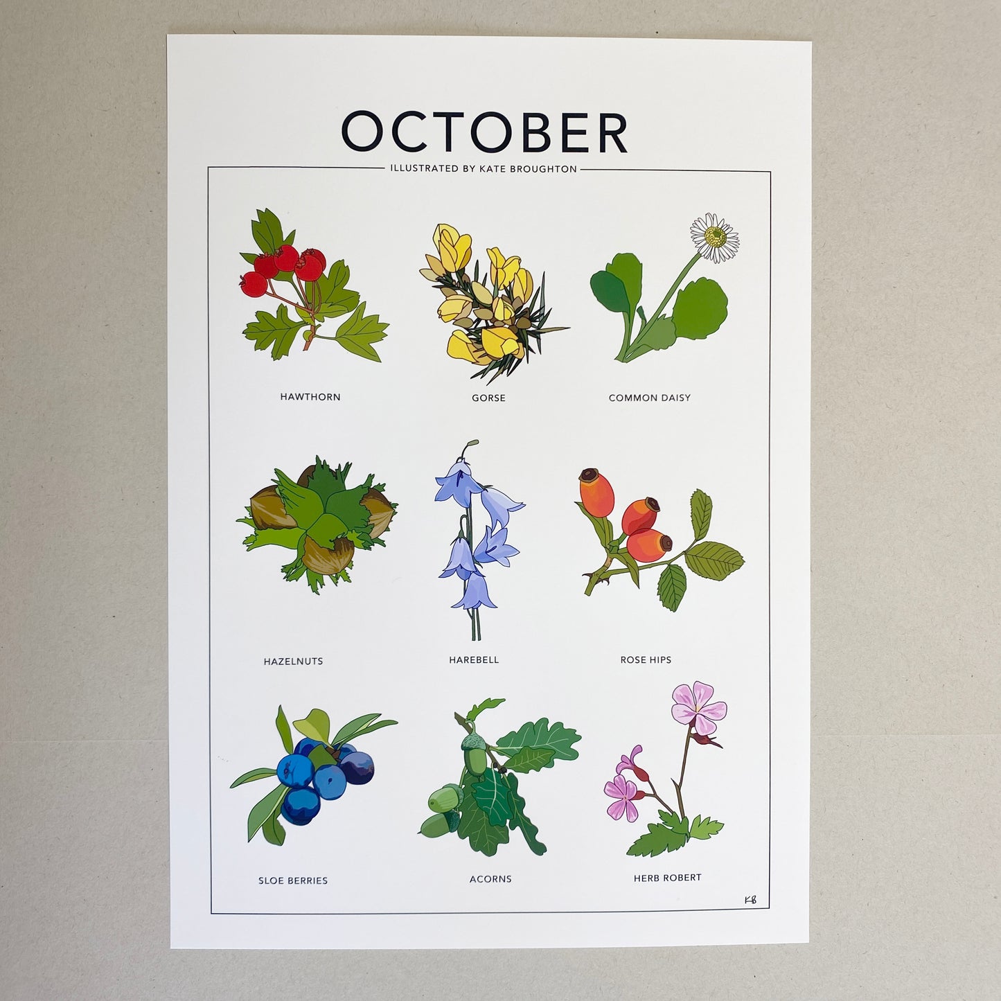 October wildflower nature print - katebroughton