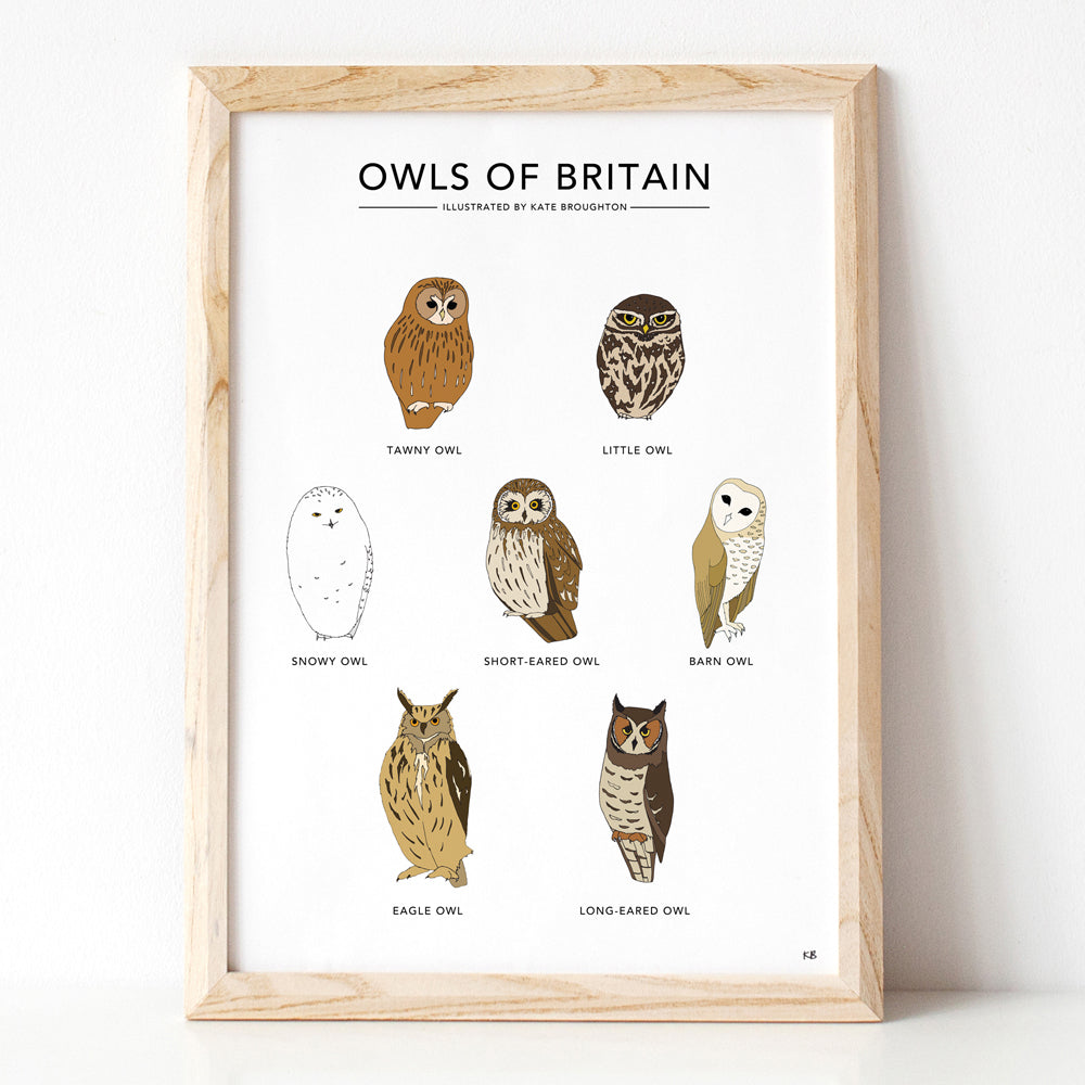 Owls of Britain Print