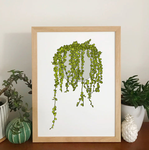 String Of Pearls Plant Print