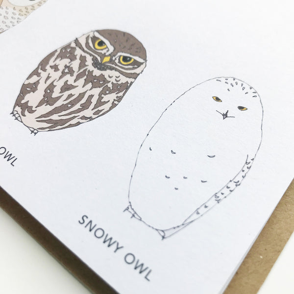 Owl Writing Set