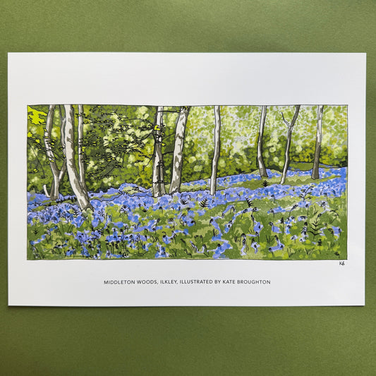 Bluebell woods landscape by Kate Broughton