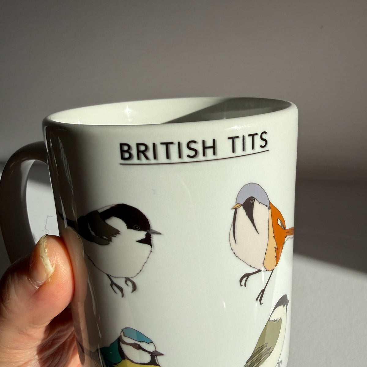 British Tits mug - SECONDS SALE