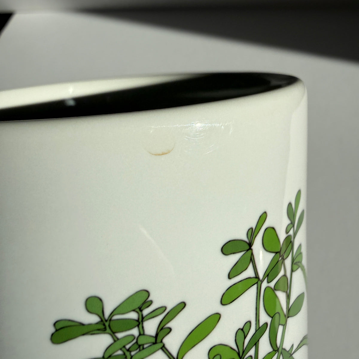 Houseplants mug - SECONDS SALE
