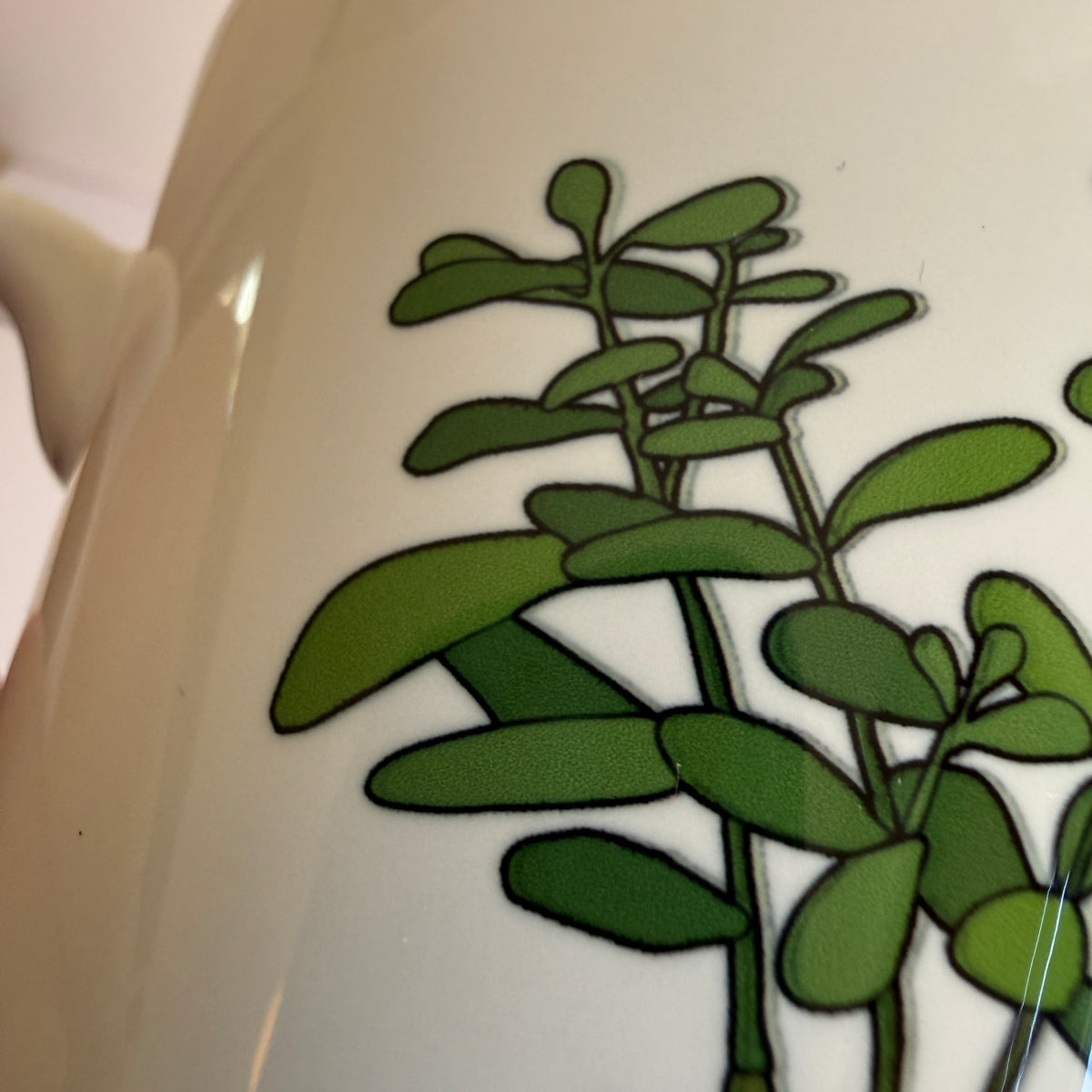 Houseplants mug - SECONDS SALE