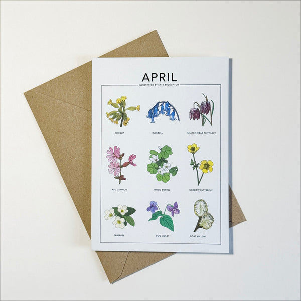 Illustrated month card - seasonal wild plants & flowers
