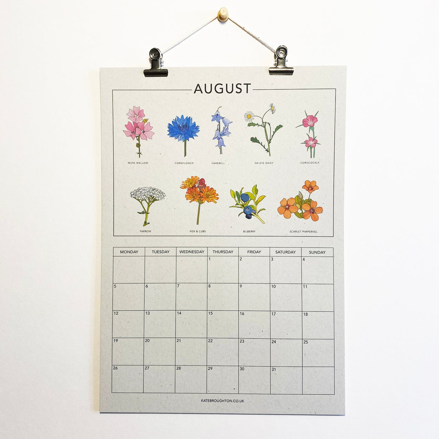 2024 Illustrated Wall Calendar