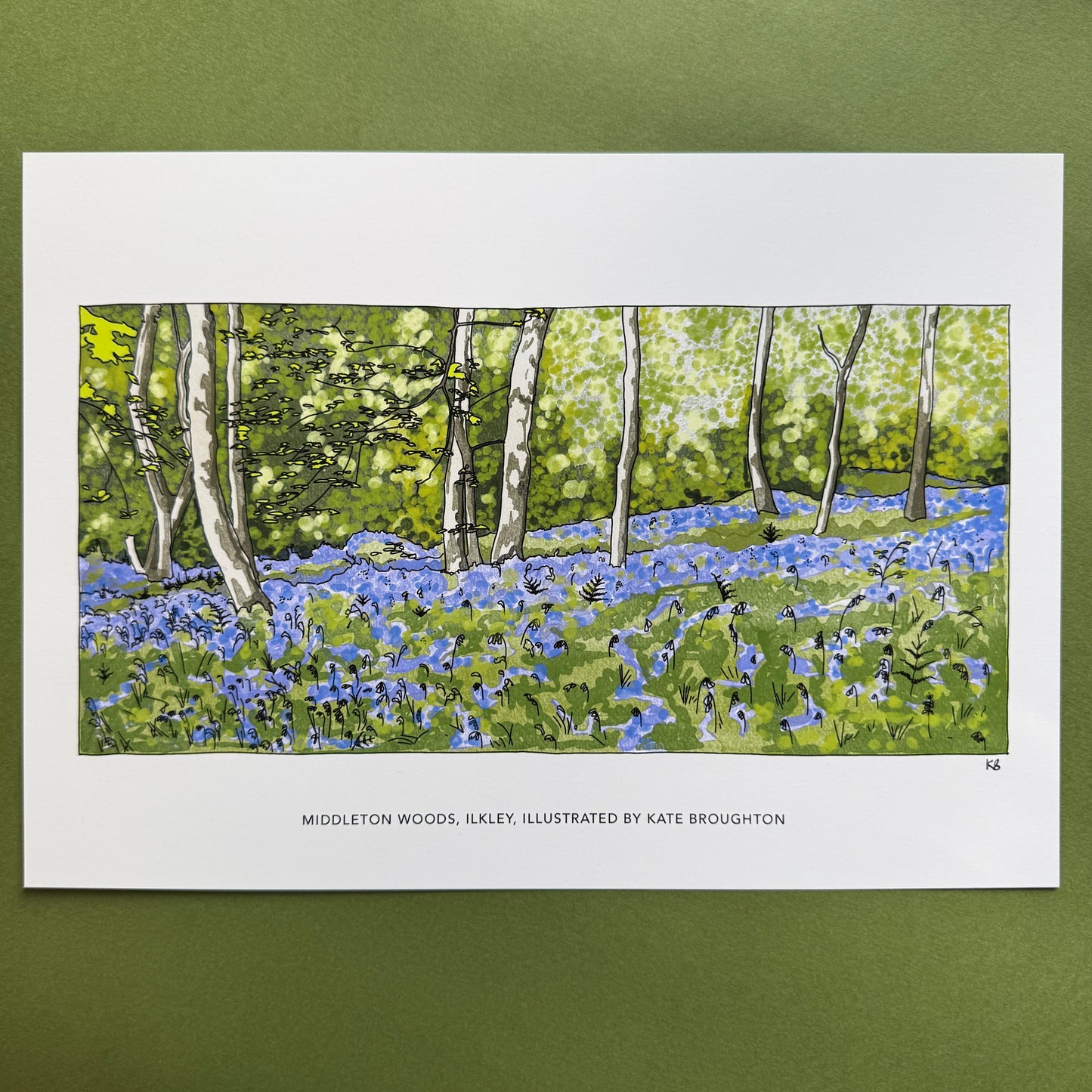 Bluebell woodland landscape print, illustration by kate broughton