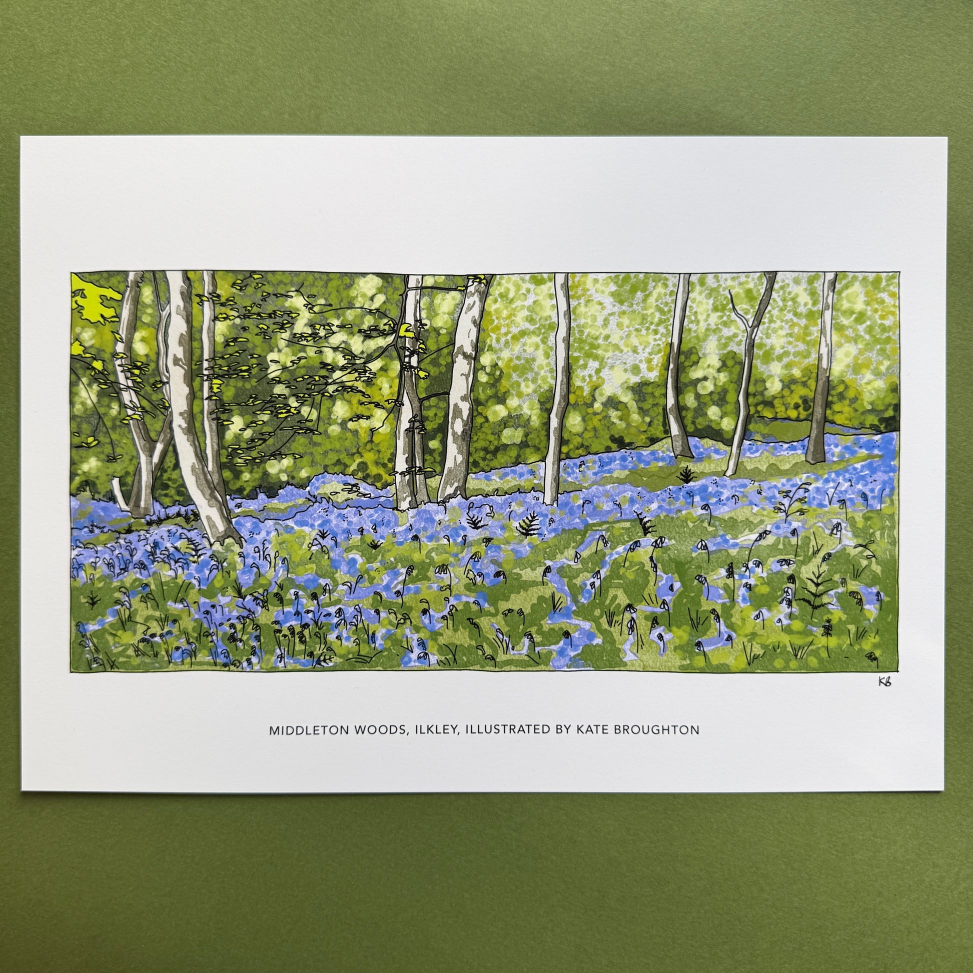 Bluebell woodland landscape print, illustration by kate broughton