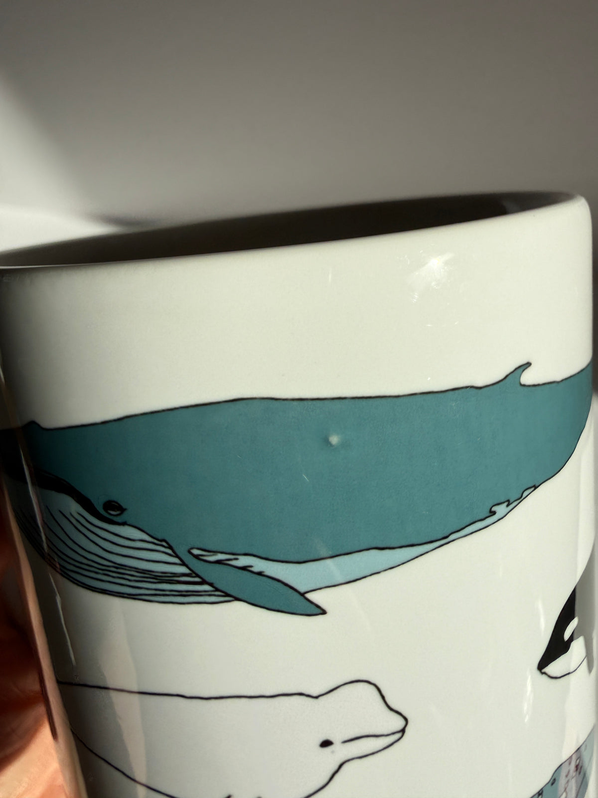 Whale mug - SECONDS SALE