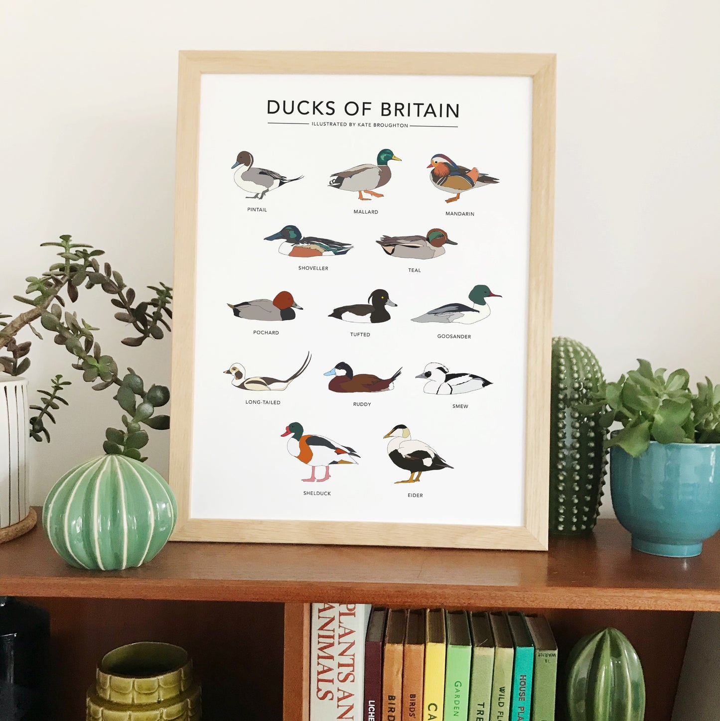 Ducks of Britain Print