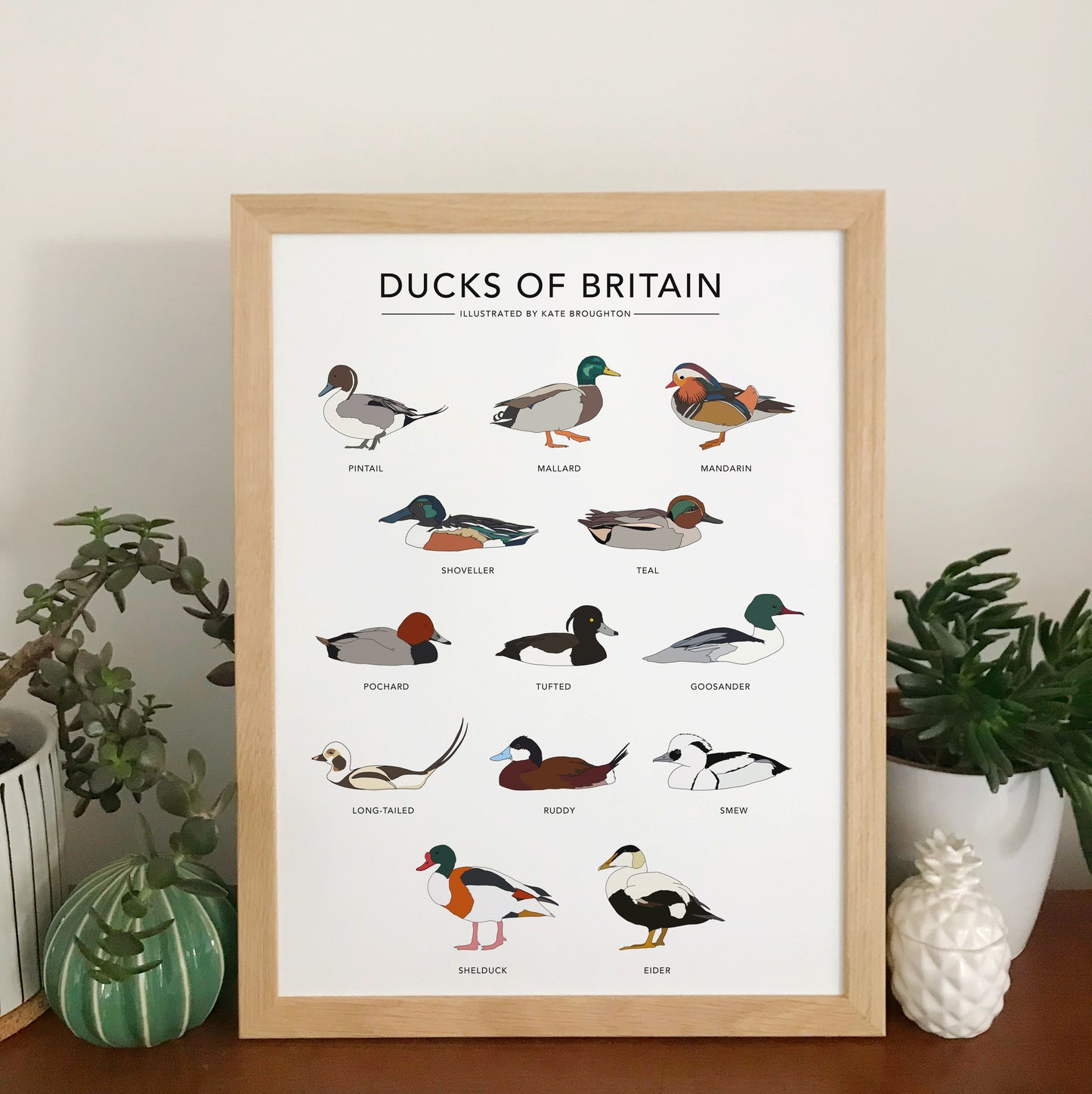 Ducks of Britain Print