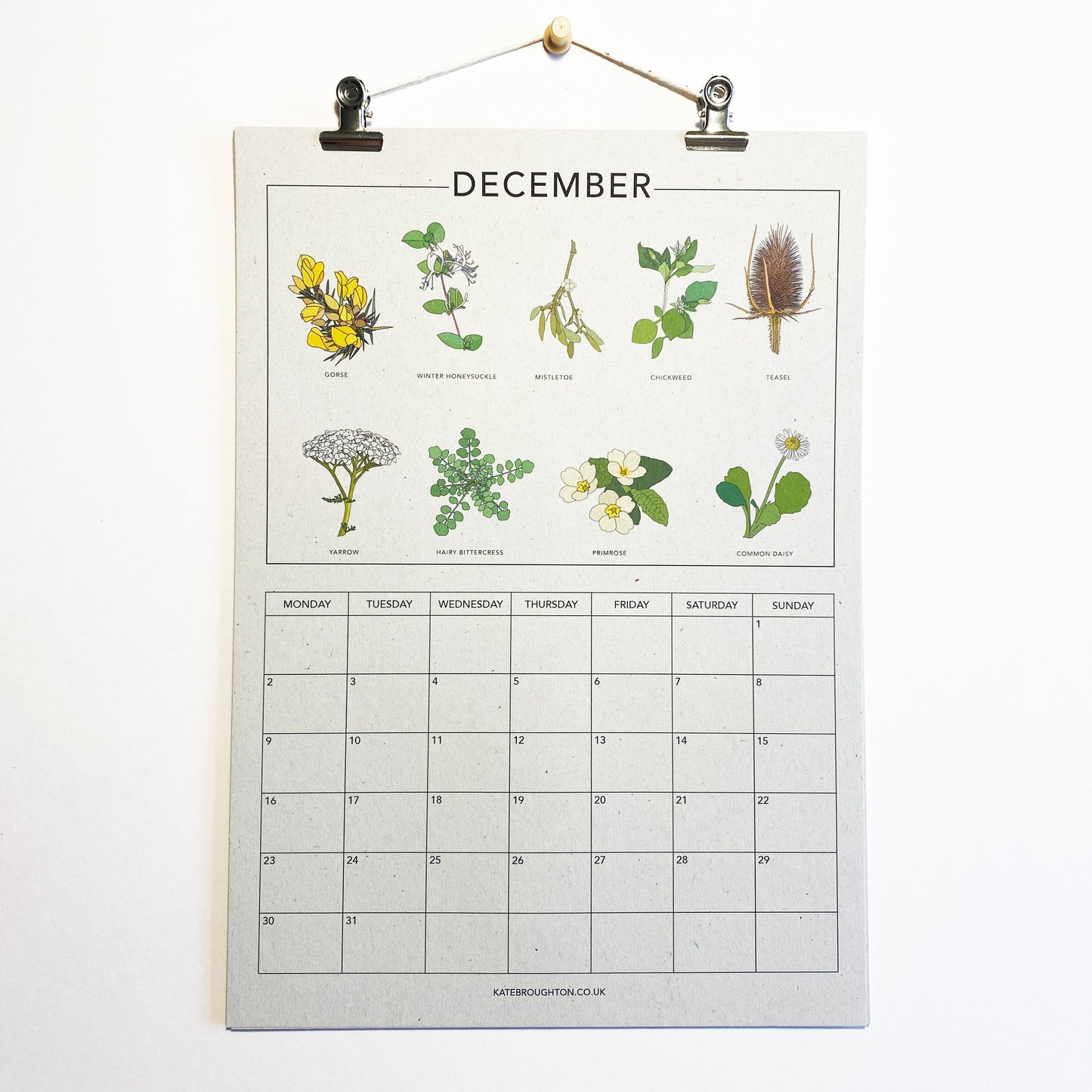 2024 Illustrated Wall Calendar