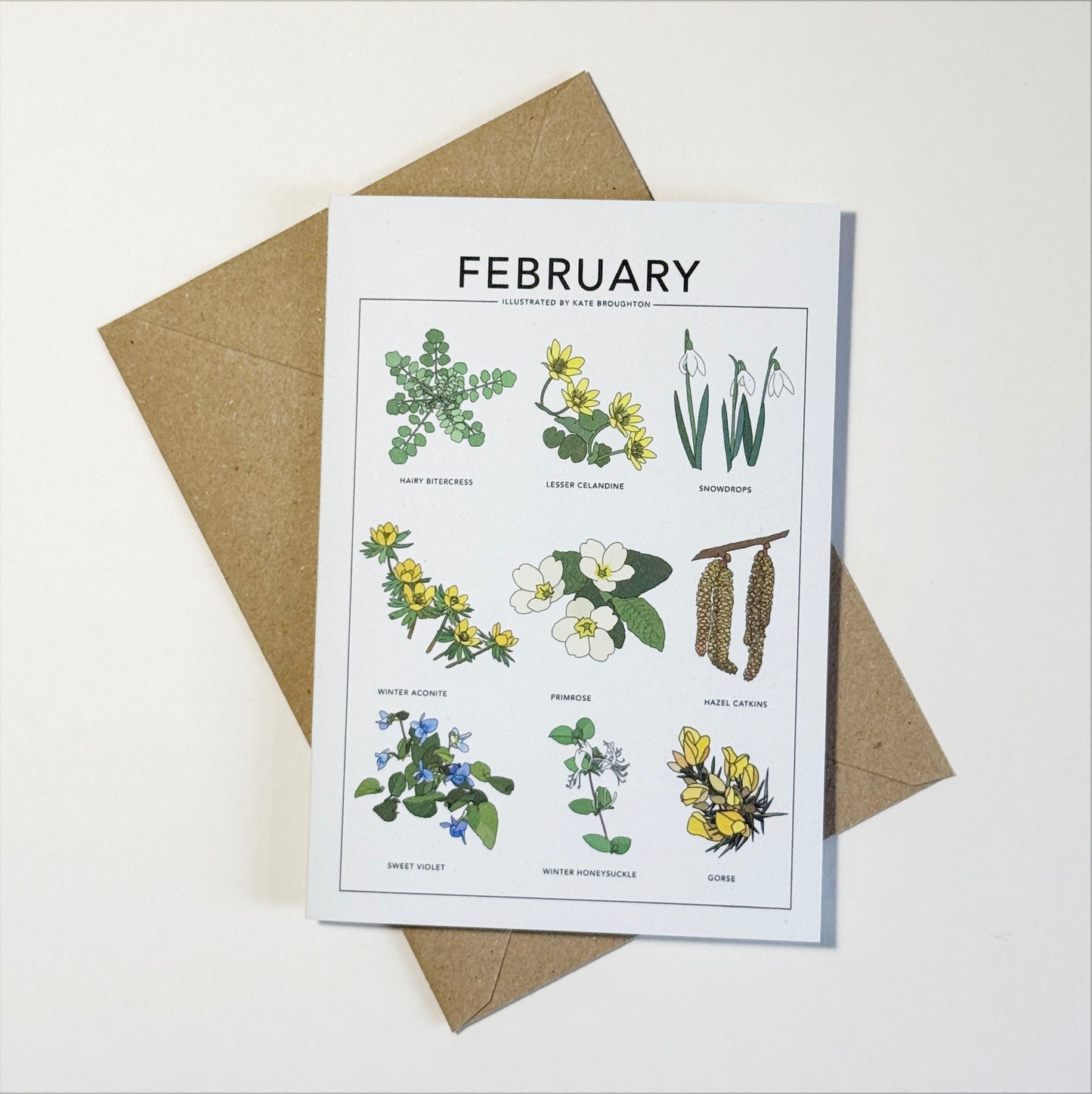 Illustrated month card - seasonal wild plants & flowers