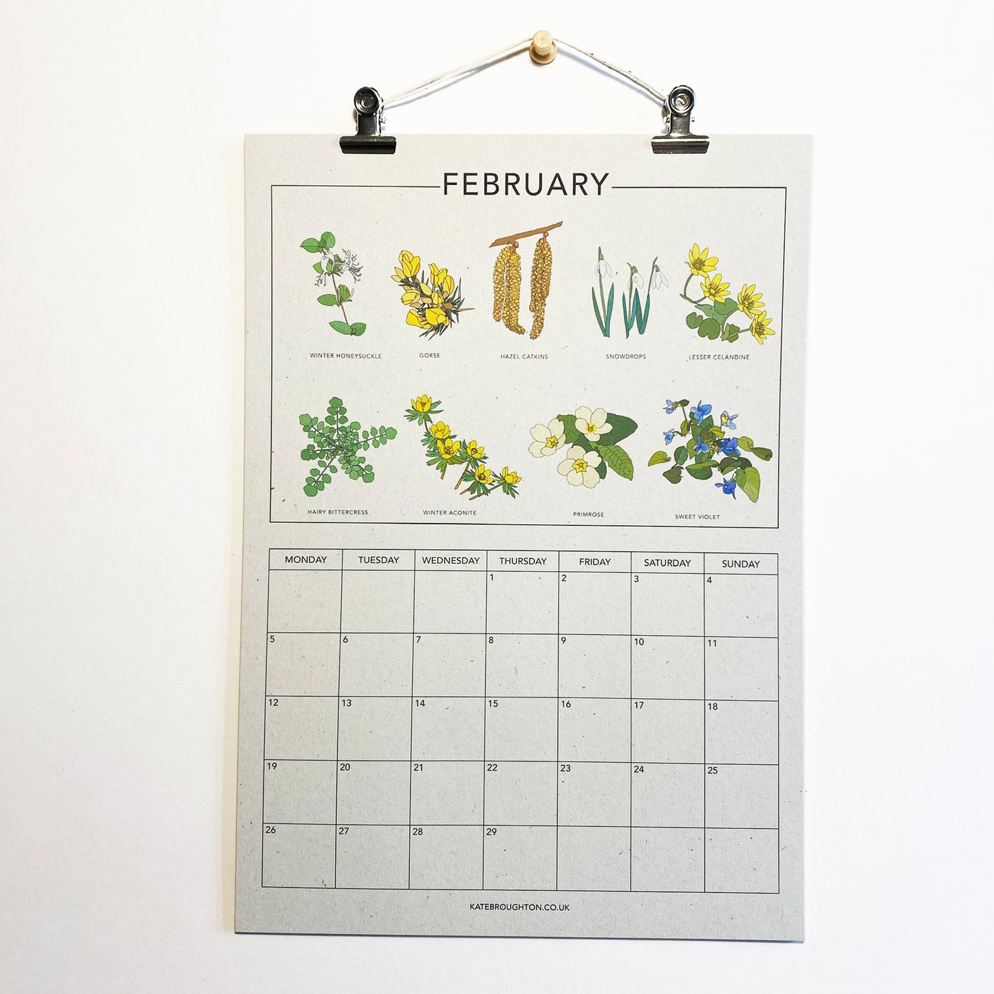 2024 Illustrated Wall Calendar