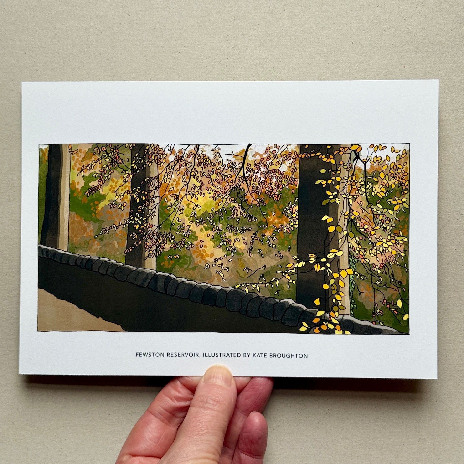 Hand holding a scenic illustration of an autumn woodland on a plain background