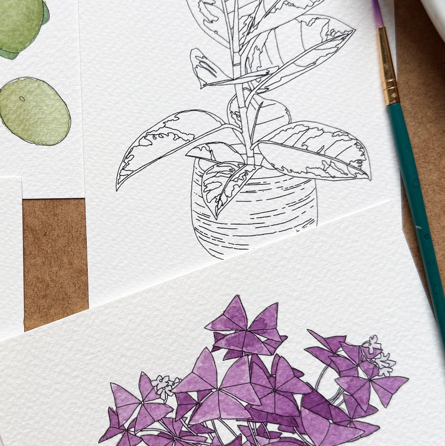 Paint Your Own Watercolour Houseplants